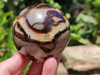 Polished Septerye Spheres x 4 From Mahajanga, Madagascar - Toprock Gemstones and Minerals 