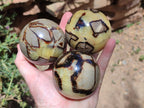 Polished Septerye Spheres x 4 From Mahajanga, Madagascar - Toprock Gemstones and Minerals 
