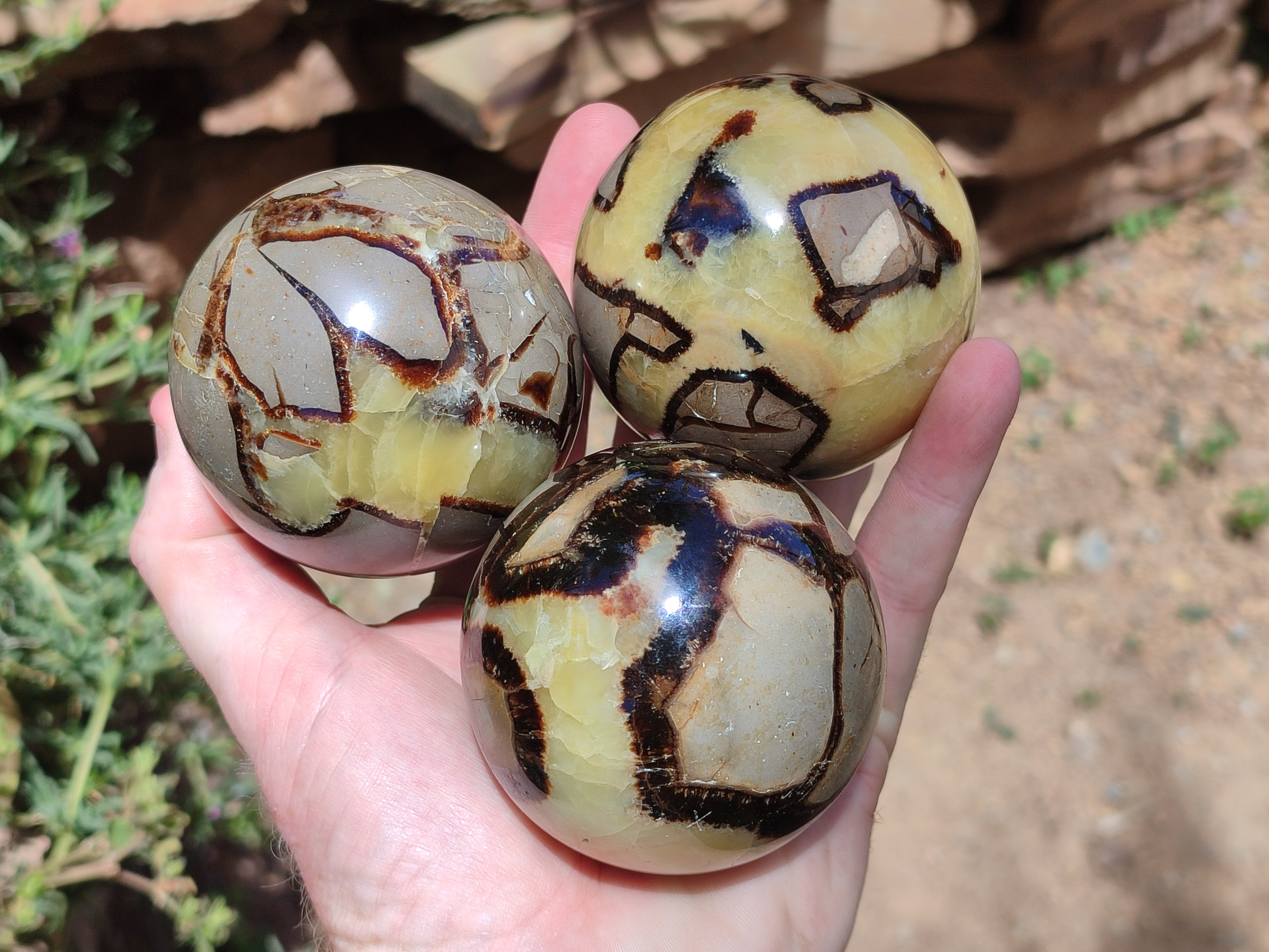 Polished Septerye Spheres x 4 From Mahajanga, Madagascar - Toprock Gemstones and Minerals 