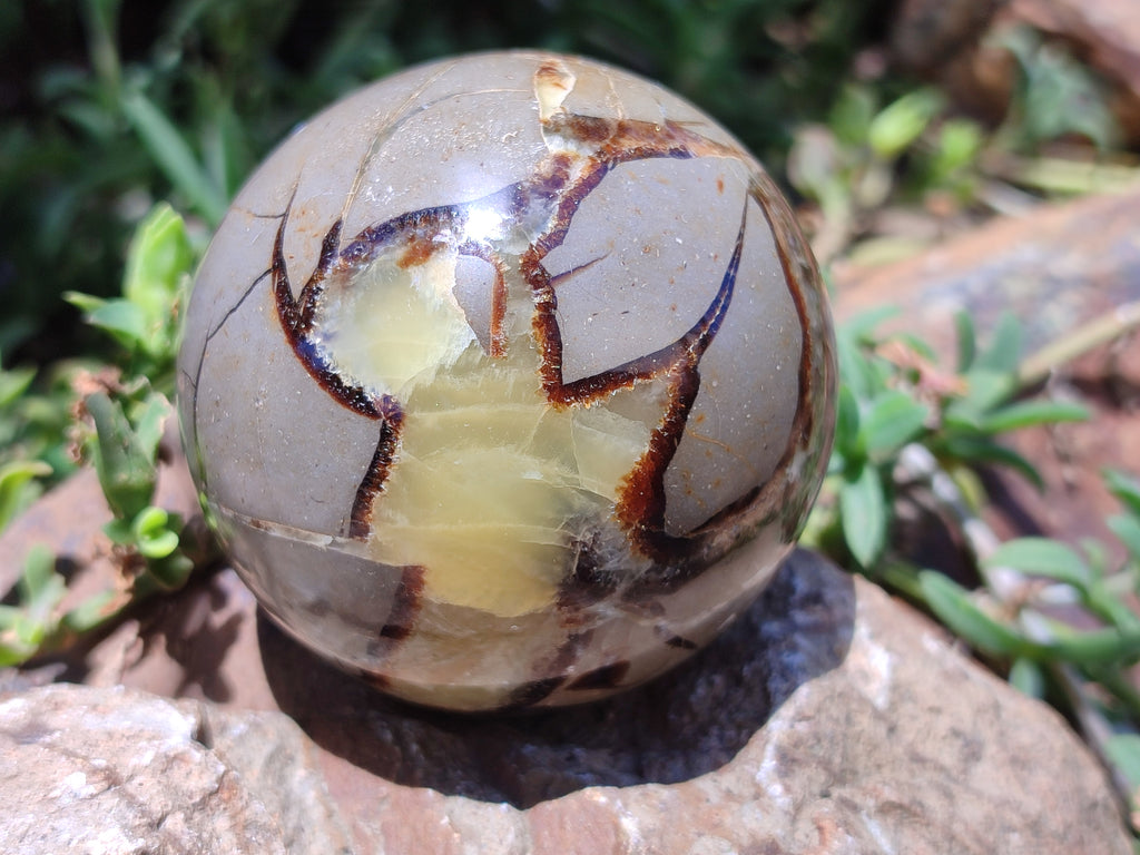 Polished Septerye Spheres x 4 From Mahajanga, Madagascar - Toprock Gemstones and Minerals 