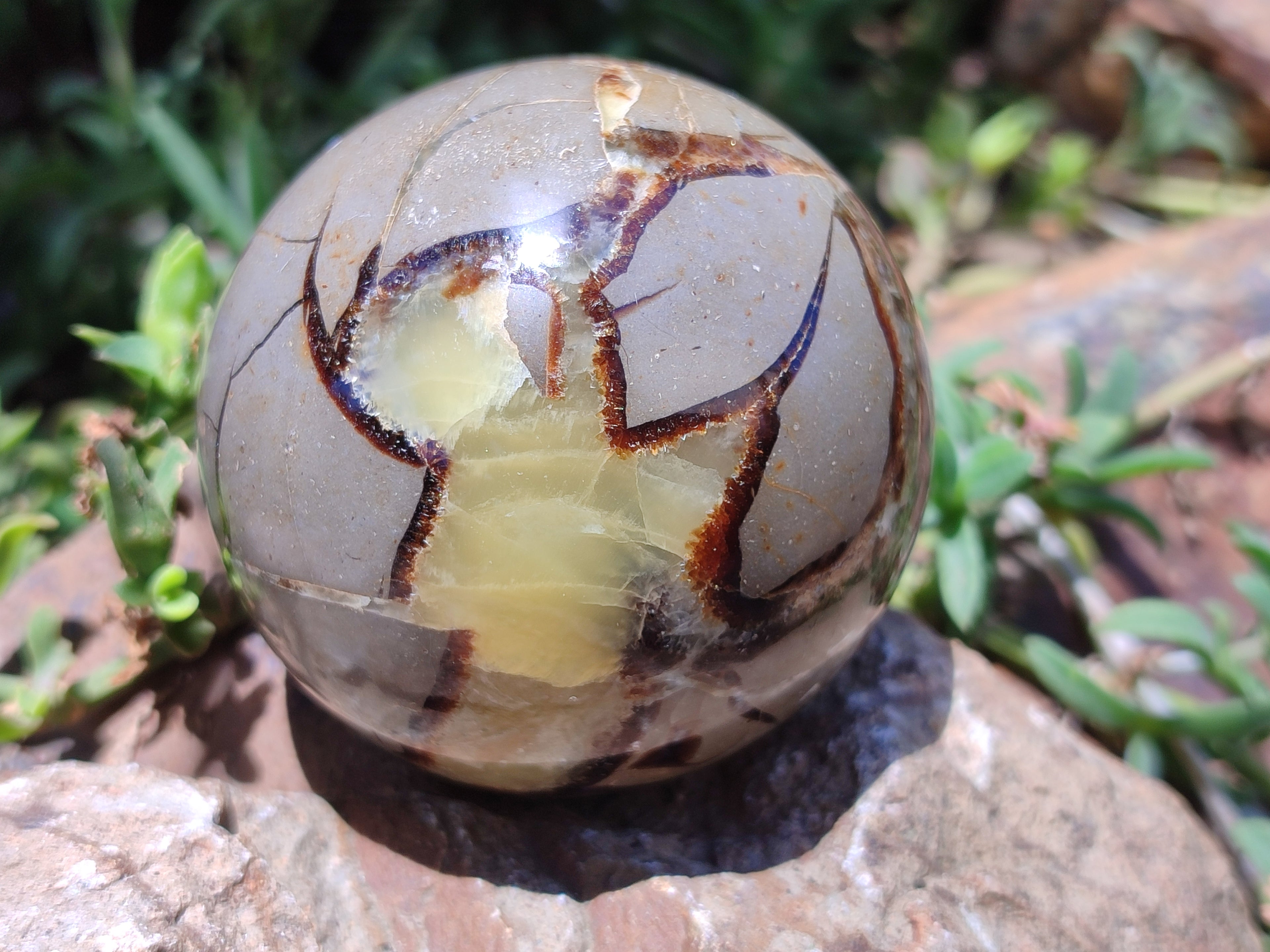 Polished Septerye Spheres x 4 From Mahajanga, Madagascar - Toprock Gemstones and Minerals 