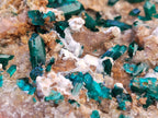 Natural Dioptase Matrix Specimen x 1 From Namibia - Toprock Gemstones and Minerals 