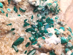 Natural Dioptase Matrix Specimen x 1 From Namibia - Toprock Gemstones and Minerals 