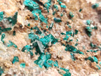 Natural Dioptase Matrix Specimen x 1 From Namibia - Toprock Gemstones and Minerals 