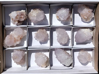 Natural Cactus Flower Spirit Quartz Clusters x 12 From Boekenhouthoek, South Africa