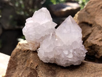 Natural Cactus Flower Spirit Quartz Clusters x 12 From Boekenhouthoek, South Africa
