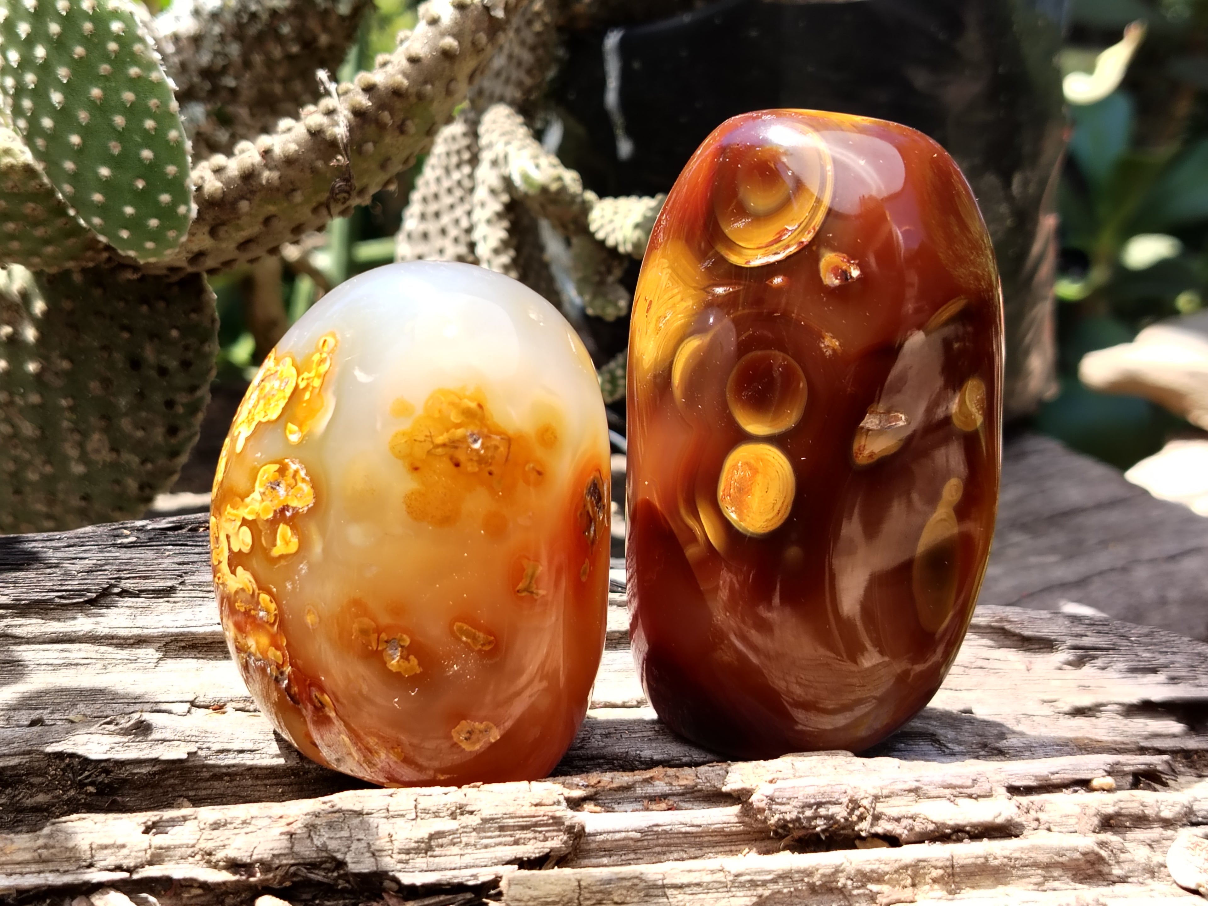 Polished Carnelian Standing Free Forms x 5 From Madagascar - Toprock Gemstones and Minerals 