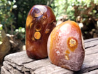 Polished Carnelian Standing Free Forms x 5 From Madagascar - Toprock Gemstones and Minerals 