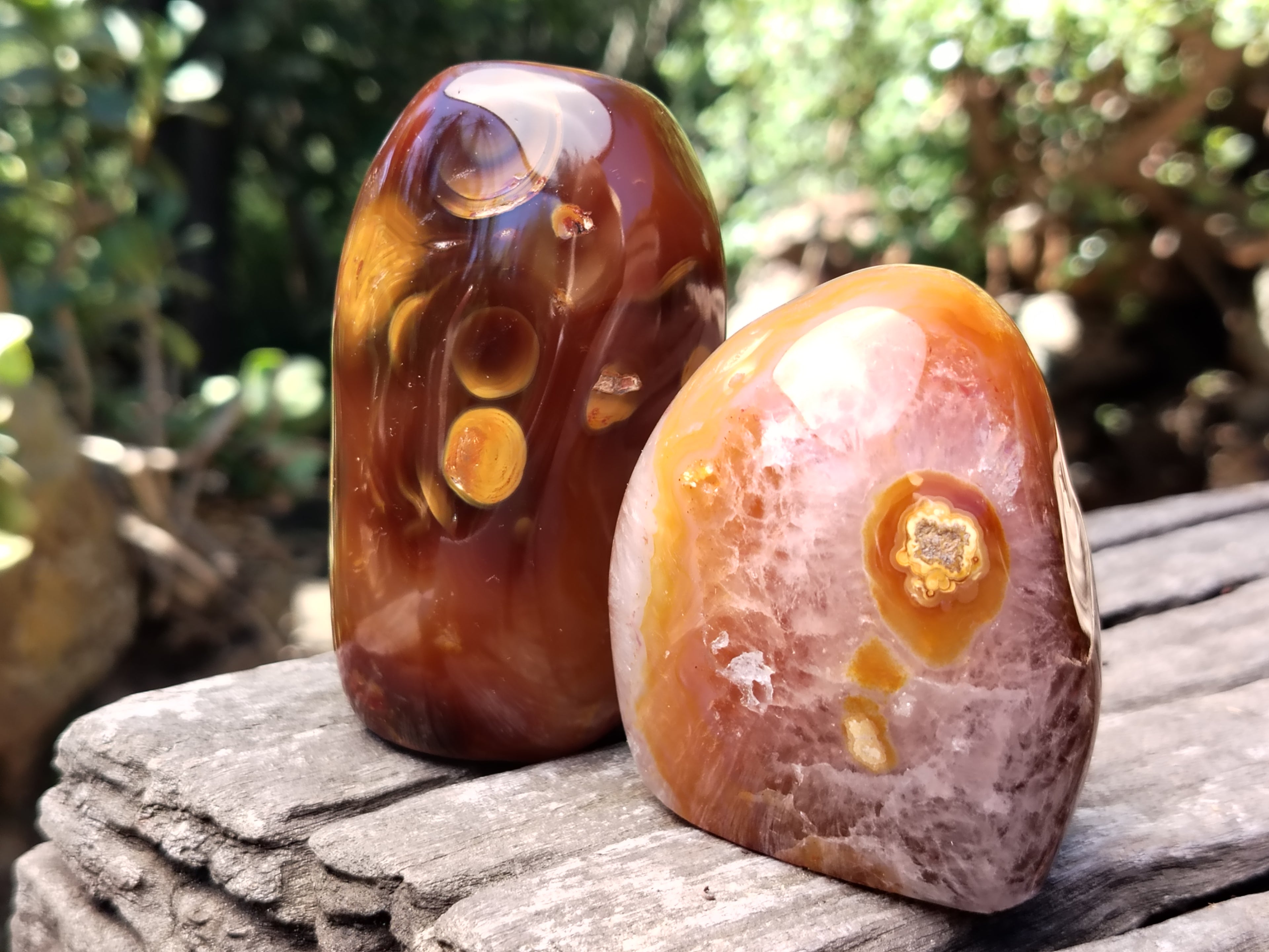 Polished Carnelian Standing Free Forms x 5 From Madagascar - Toprock Gemstones and Minerals 