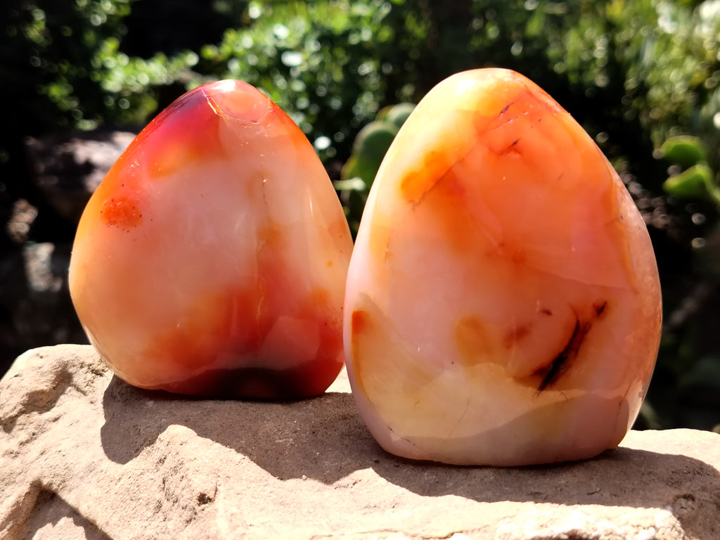 Polished Carnelian Standing Free Forms x 5 From Madagascar - Toprock Gemstones and Minerals 