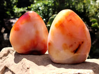 Polished Carnelian Standing Free Forms x 5 From Madagascar - Toprock Gemstones and Minerals 