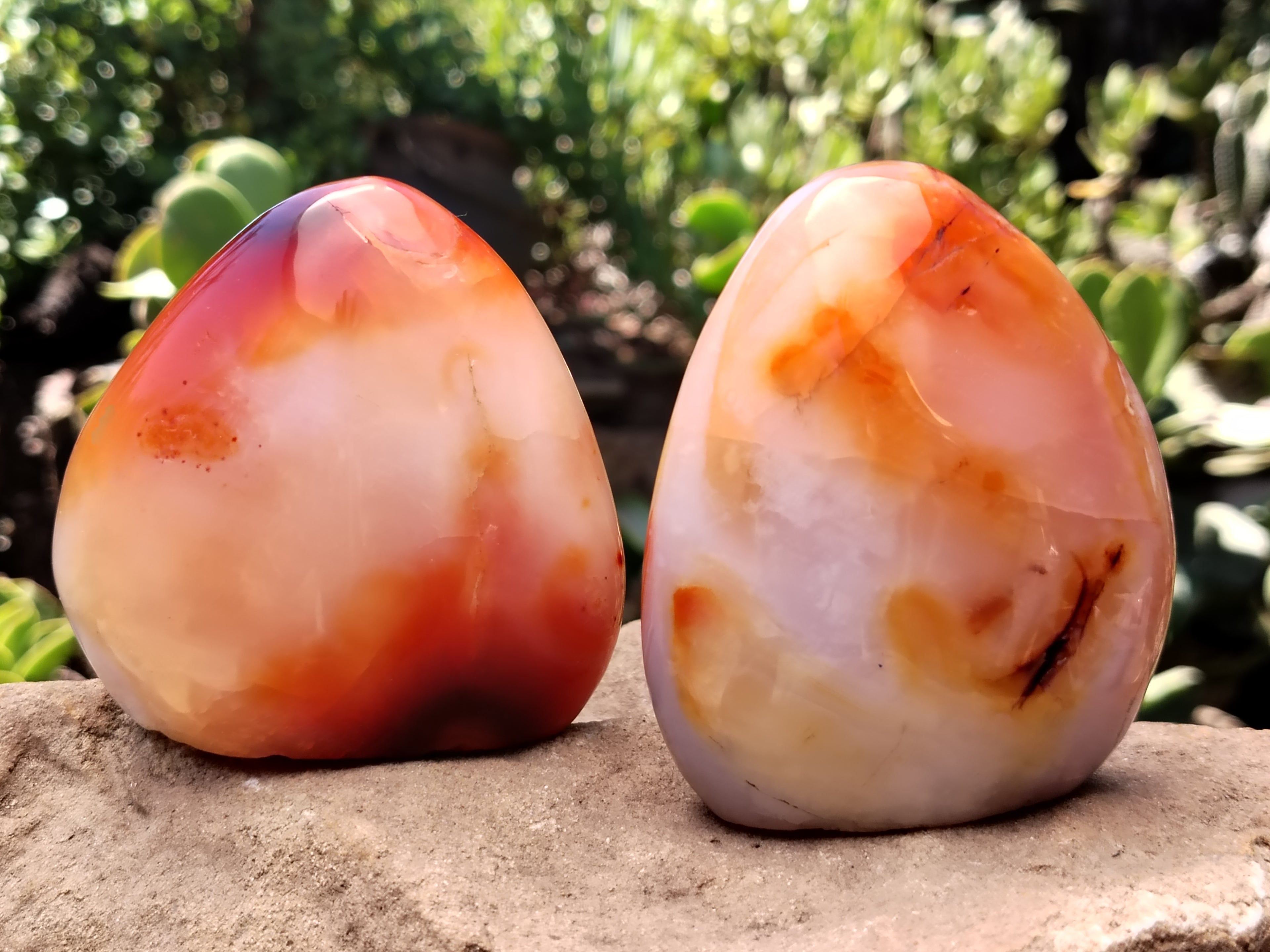Polished Carnelian Standing Free Forms x 5 From Madagascar - Toprock Gemstones and Minerals 