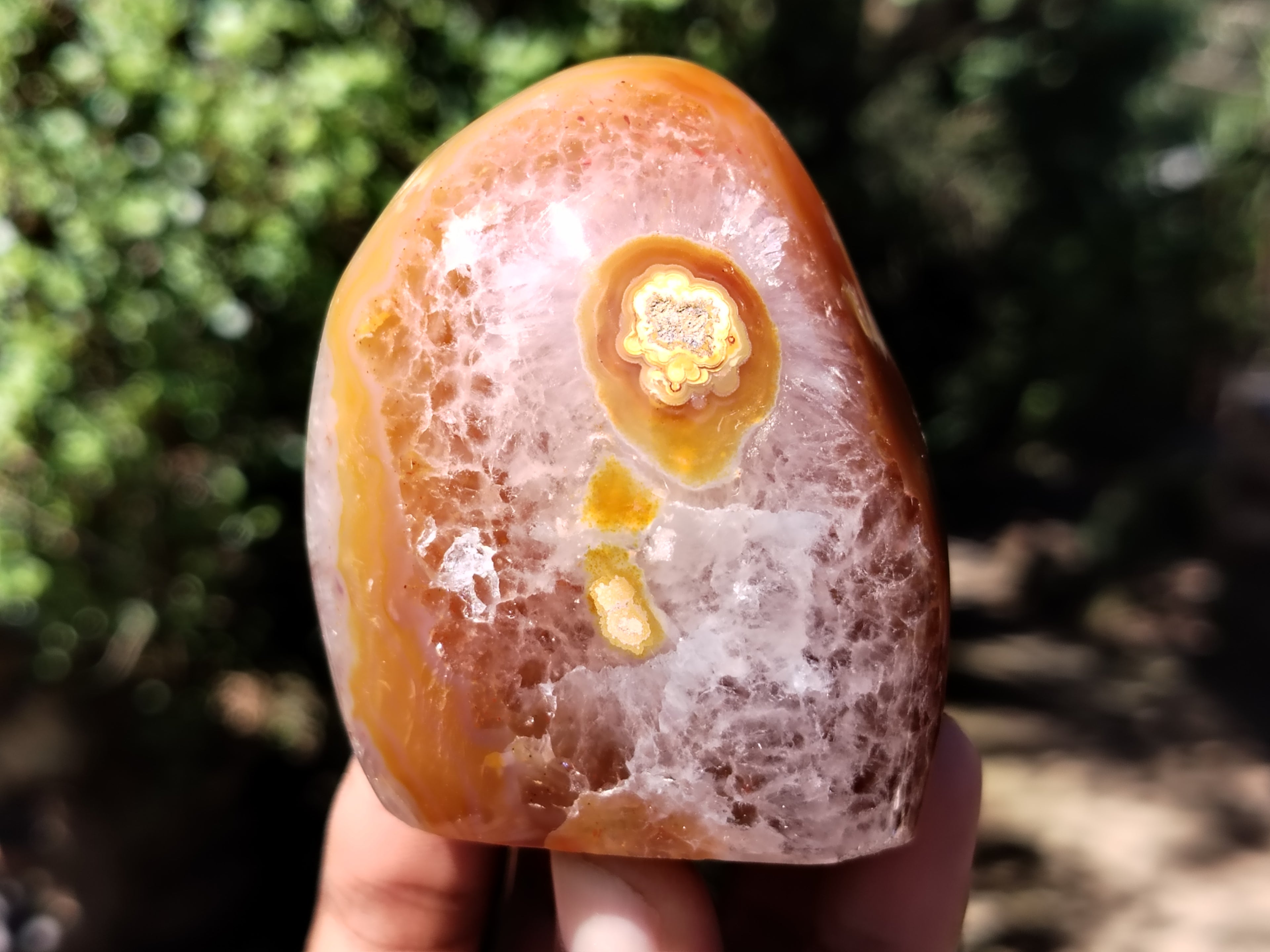 Polished Carnelian Standing Free Forms x 5 From Madagascar - Toprock Gemstones and Minerals 