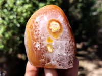 Polished Carnelian Standing Free Forms x 5 From Madagascar - Toprock Gemstones and Minerals 