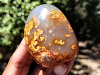 Polished Carnelian Standing Free Forms x 5 From Madagascar - Toprock Gemstones and Minerals 