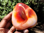 Polished Carnelian Standing Free Forms x 5 From Madagascar - Toprock Gemstones and Minerals 