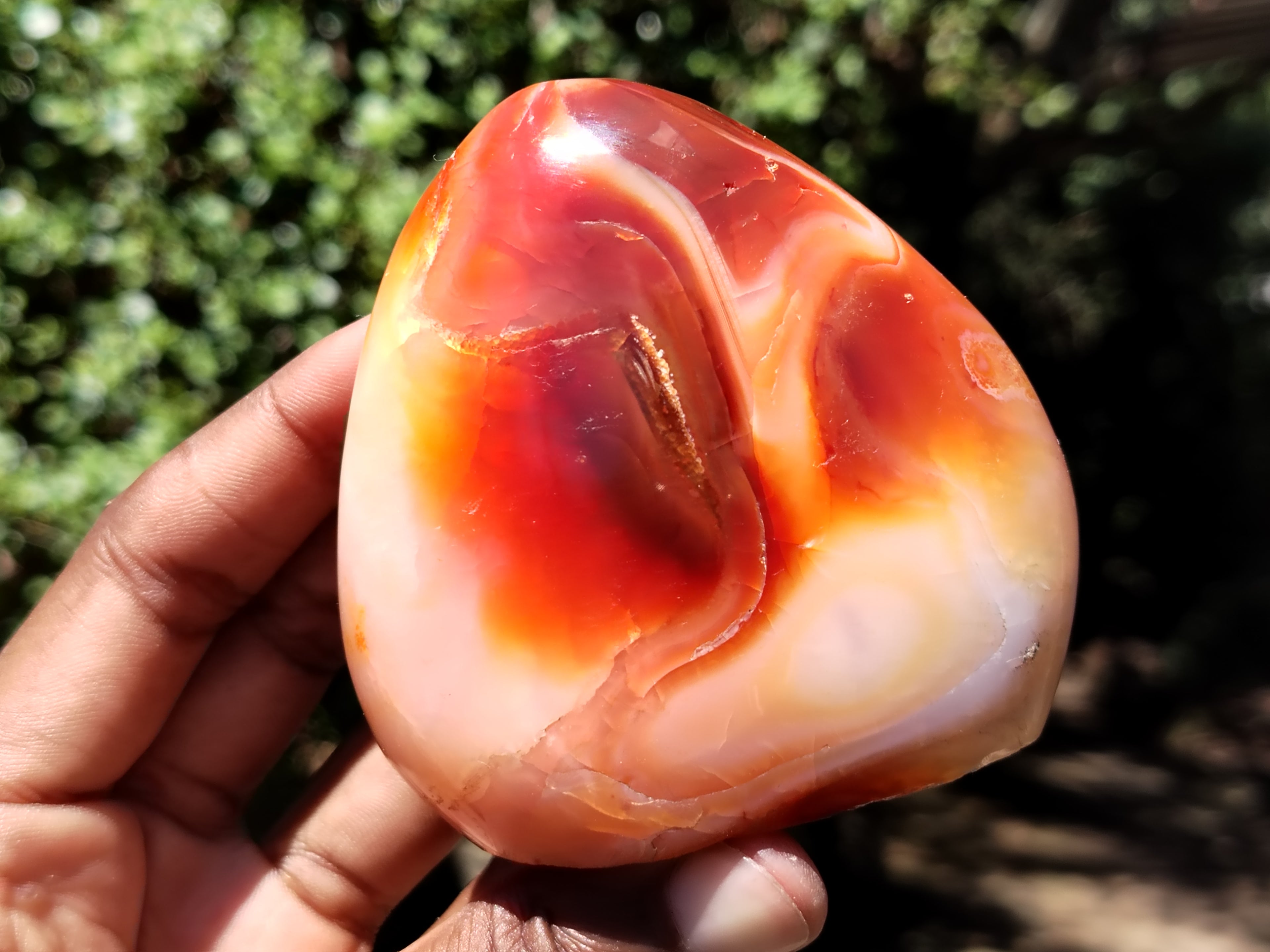 Polished Carnelian Standing Free Forms x 5 From Madagascar - Toprock Gemstones and Minerals 