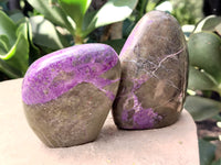Polished Stichtite Standing Free Forms x 4 From Barberton, South Africa - Toprock Gemstones and Minerals 