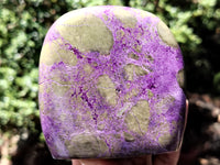 Polished Stichtite Standing Free Forms x 4 From Barberton, South Africa - Toprock Gemstones and Minerals 