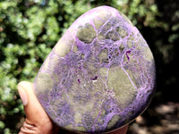 Polished Stichtite Standing Free Forms x 4 From Barberton, South Africa - Toprock Gemstones and Minerals 