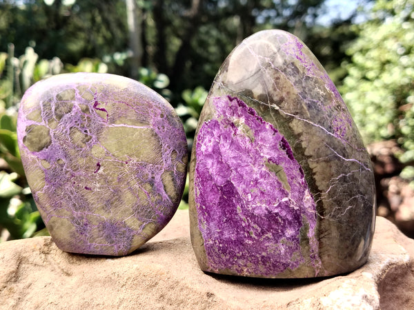 Polished Stichtite Standing Free Forms x 4 From Barberton, South Africa - Toprock Gemstones and Minerals 