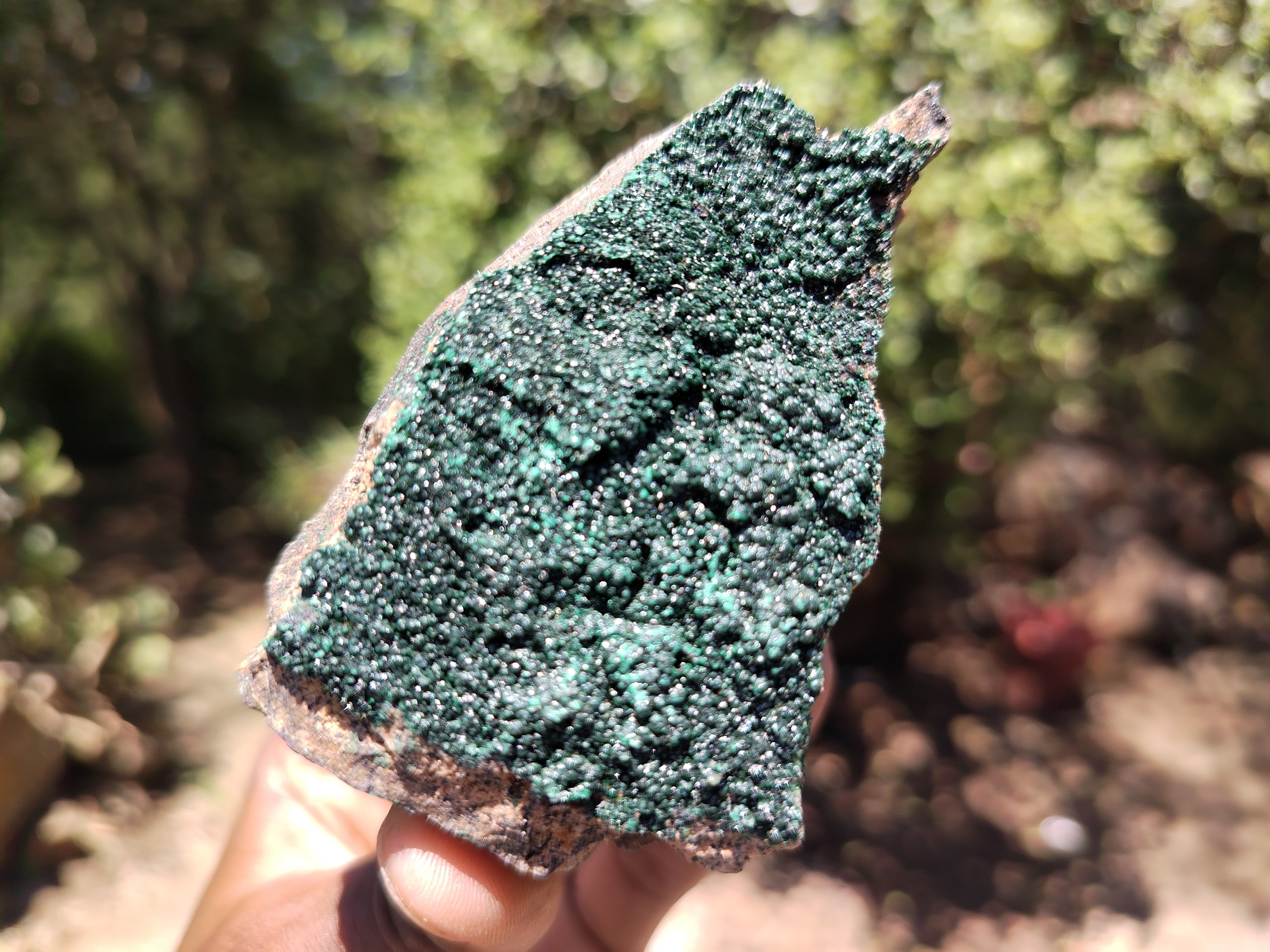 Natural Botryoidal Malachite Specimens x 4 From Congo - Toprock Gemstones and Minerals 