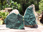Natural Botryoidal Malachite Specimens x 4 From Congo - Toprock Gemstones and Minerals 