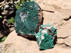 Natural Botryoidal Malachite Specimens x 4 From Congo - Toprock Gemstones and Minerals 