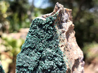 Natural Botryoidal Malachite Specimens x 4 From Congo - Toprock Gemstones and Minerals 