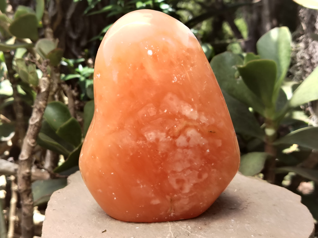 Polished Orange Twist Calcite Standing Free Form x 1 From Madagascar - Toprock Gemstones and Minerals 