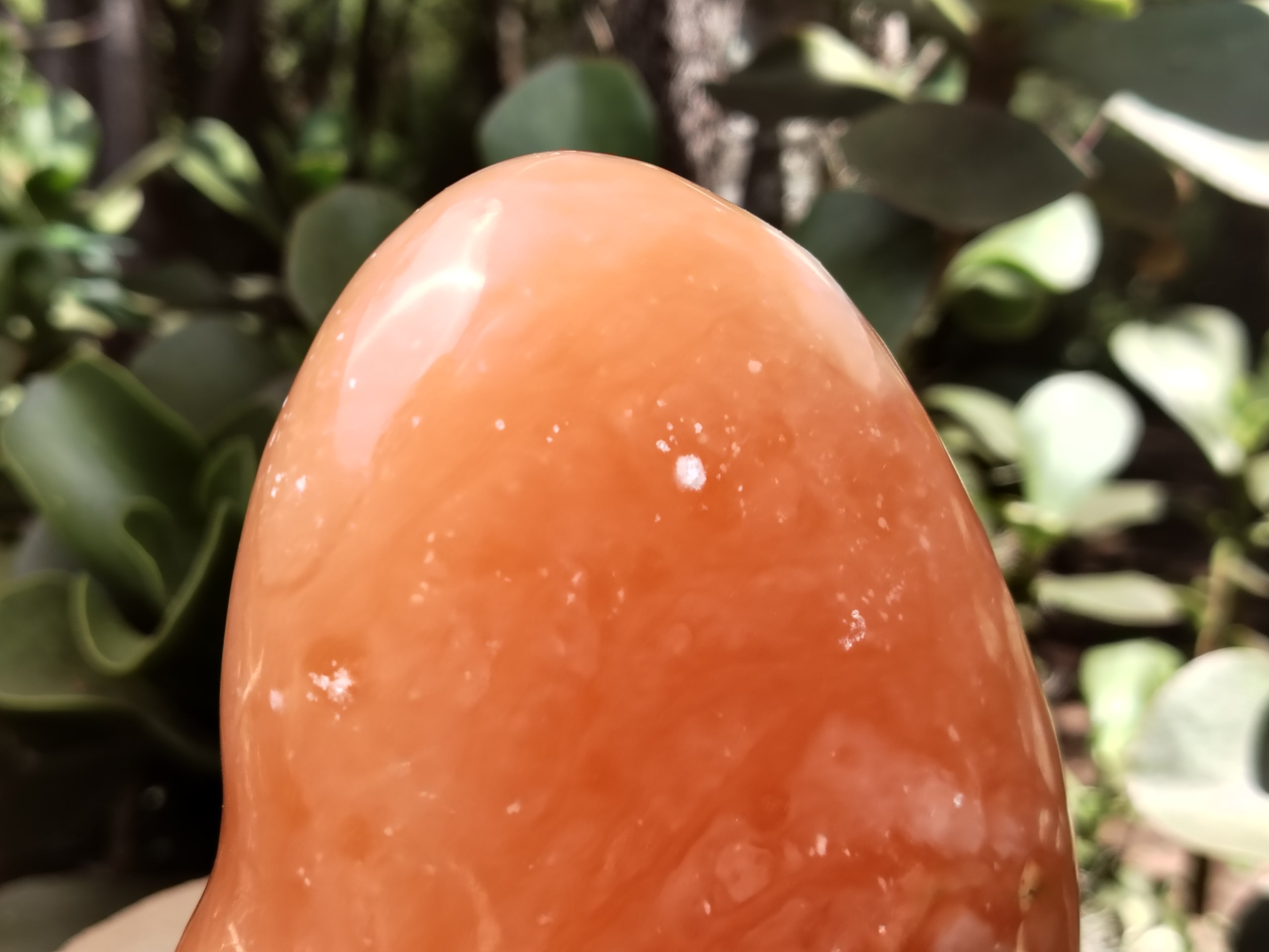 Polished Orange Twist Calcite Standing Free Form x 1 From Madagascar - Toprock Gemstones and Minerals 