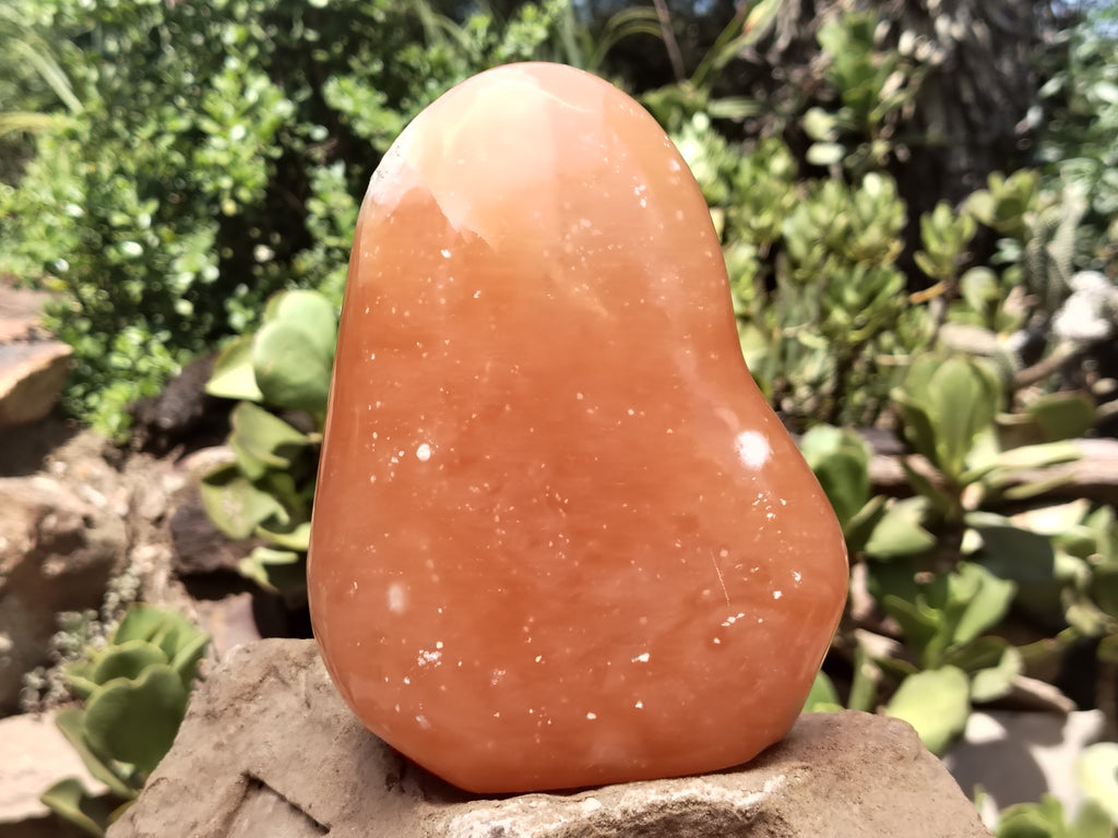 Polished Orange Twist Calcite Standing Free Form x 1 From Madagascar - Toprock Gemstones and Minerals 