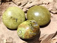 Polished Green Opal Palm Stones x 12 From Antsirabe, Madagascar - Toprock Gemstones and Minerals 