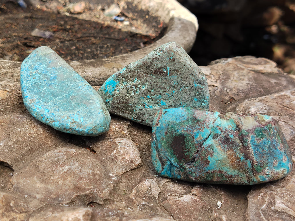 Polished Shattuckite with Azurite and Chrysocolla Free Forms x 12 From Congo - Toprock Gemstones and Minerals 