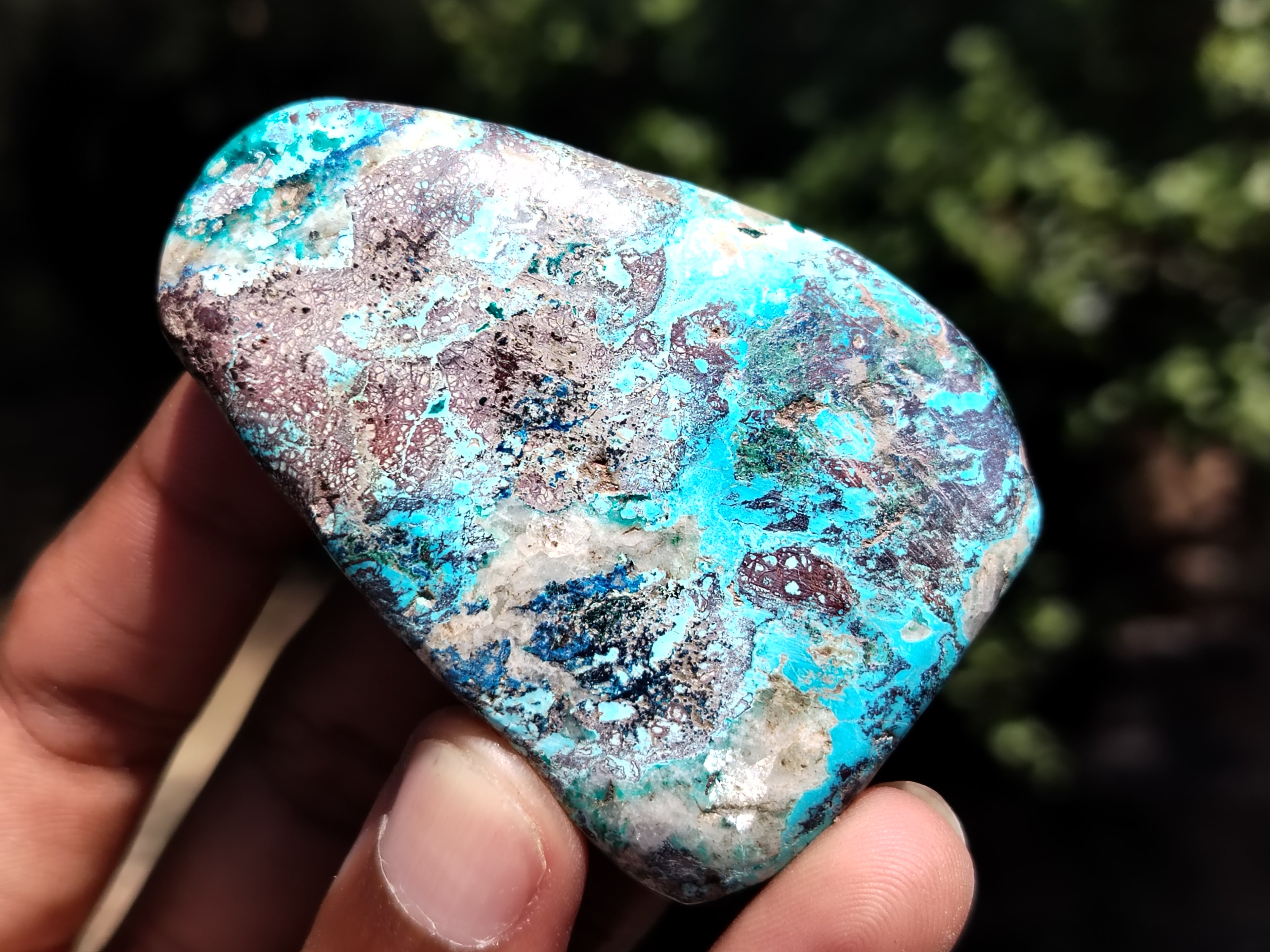 Polished Shattuckite with Azurite and Chrysocolla Free Forms x 12 From Congo - Toprock Gemstones and Minerals 