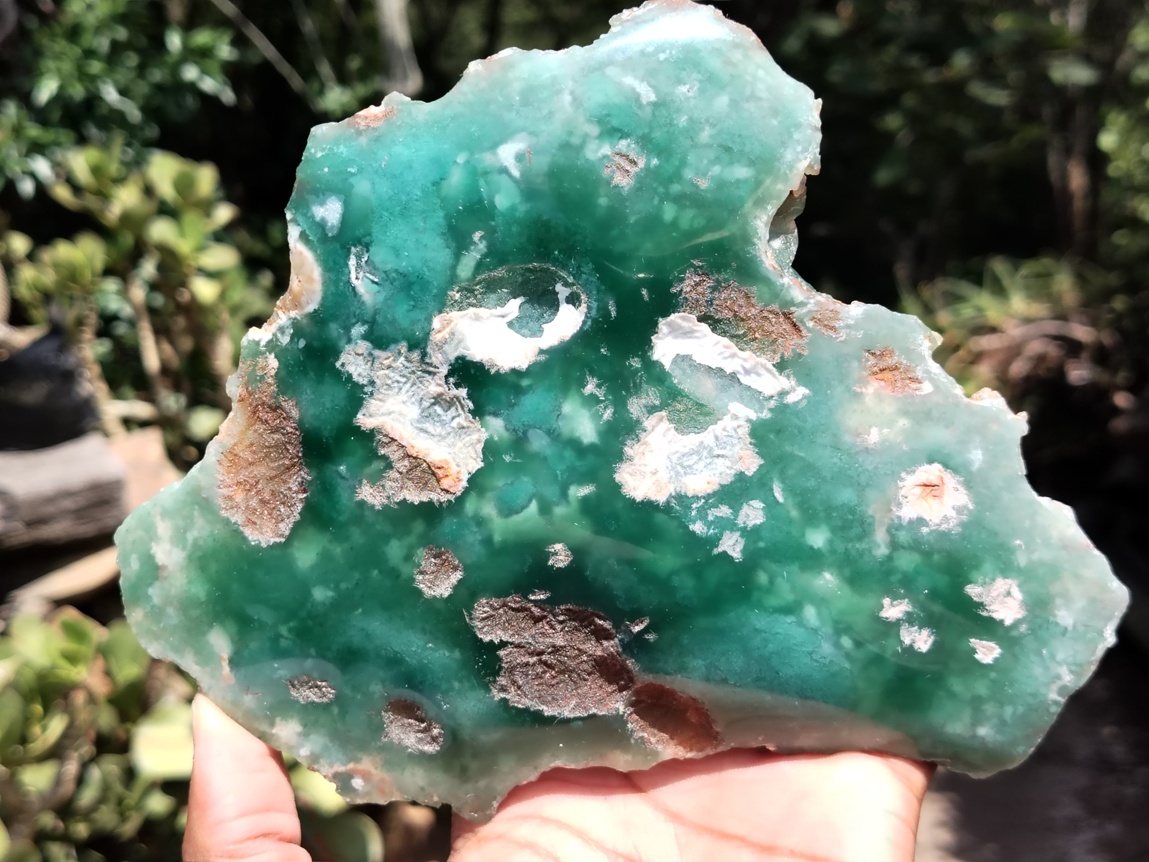 Polished On One Side Emerald Mtorolite Plates x 2 From Mutorashanga, Zimbabwe - Toprock Gemstones and Minerals 