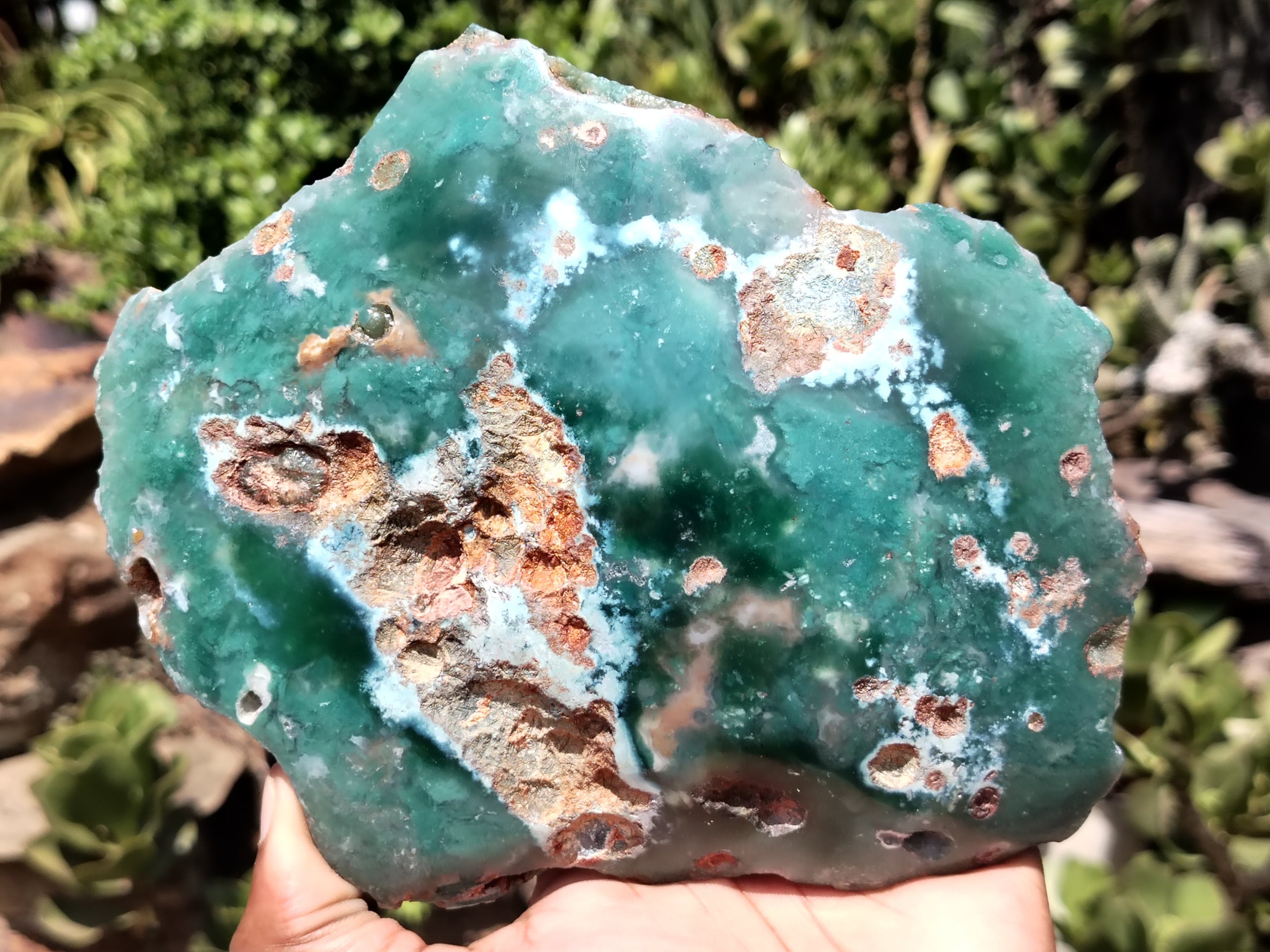 Polished On One Side Emerald Mtorolite Plates x 2 From Mutorashanga, Zimbabwe - Toprock Gemstones and Minerals 