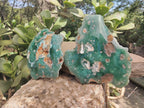 Polished On One Side Emerald Mtorolite Plates x 2 From Mutorashanga, Zimbabwe - Toprock Gemstones and Minerals 