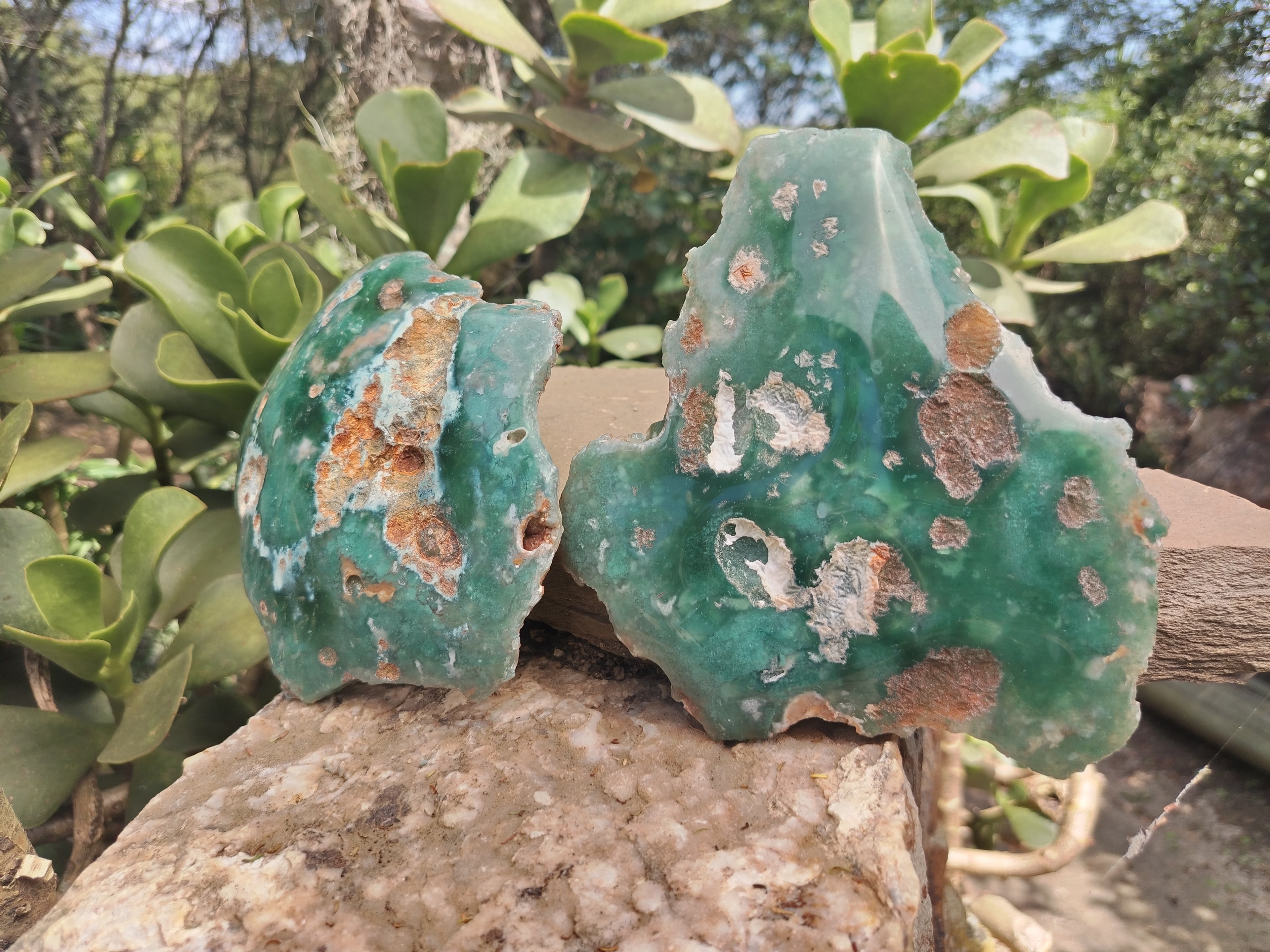 Polished On One Side Emerald Mtorolite Plates x 2 From Mutorashanga, Zimbabwe - Toprock Gemstones and Minerals 