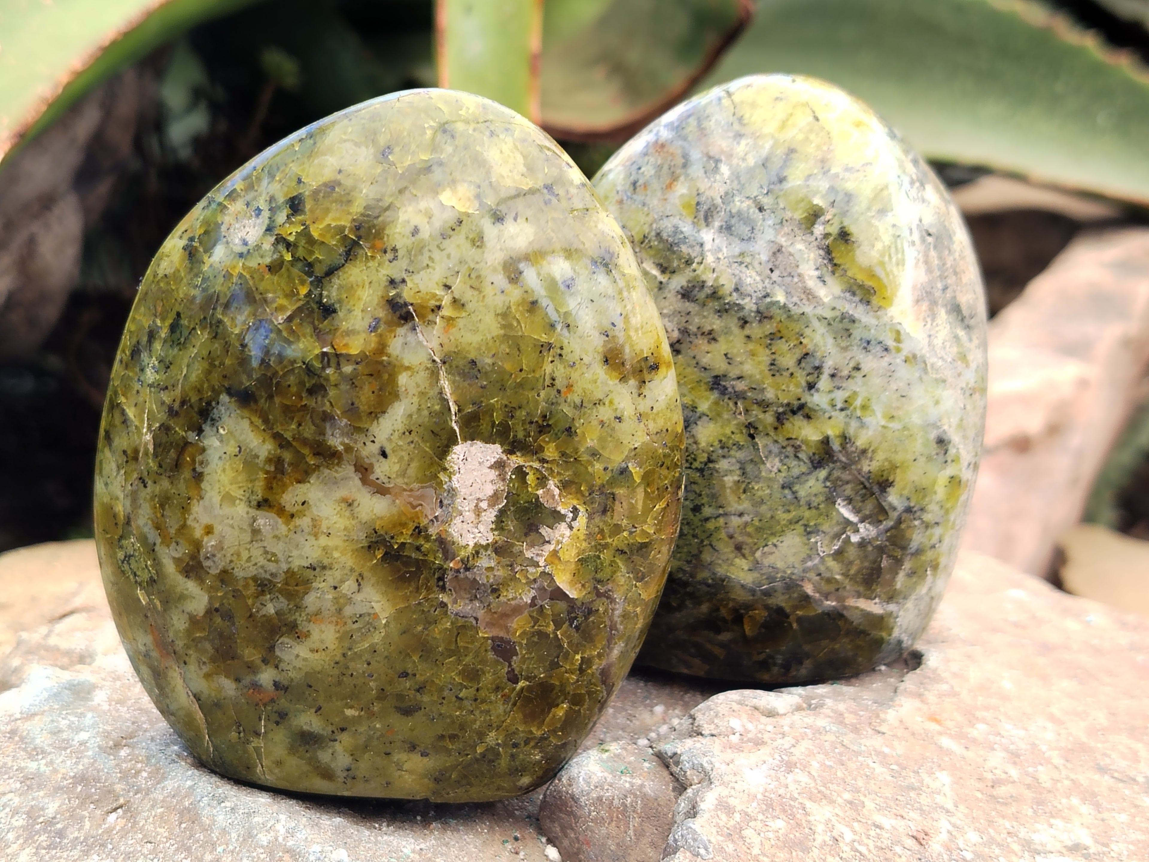 Polished Green Opal Standing Free Forms x 6 From Antsirabe, Madagascar - Toprock Gemstones and Minerals 
