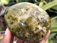Polished Green Opal Standing Free Forms x 6 From Antsirabe, Madagascar - Toprock Gemstones and Minerals 