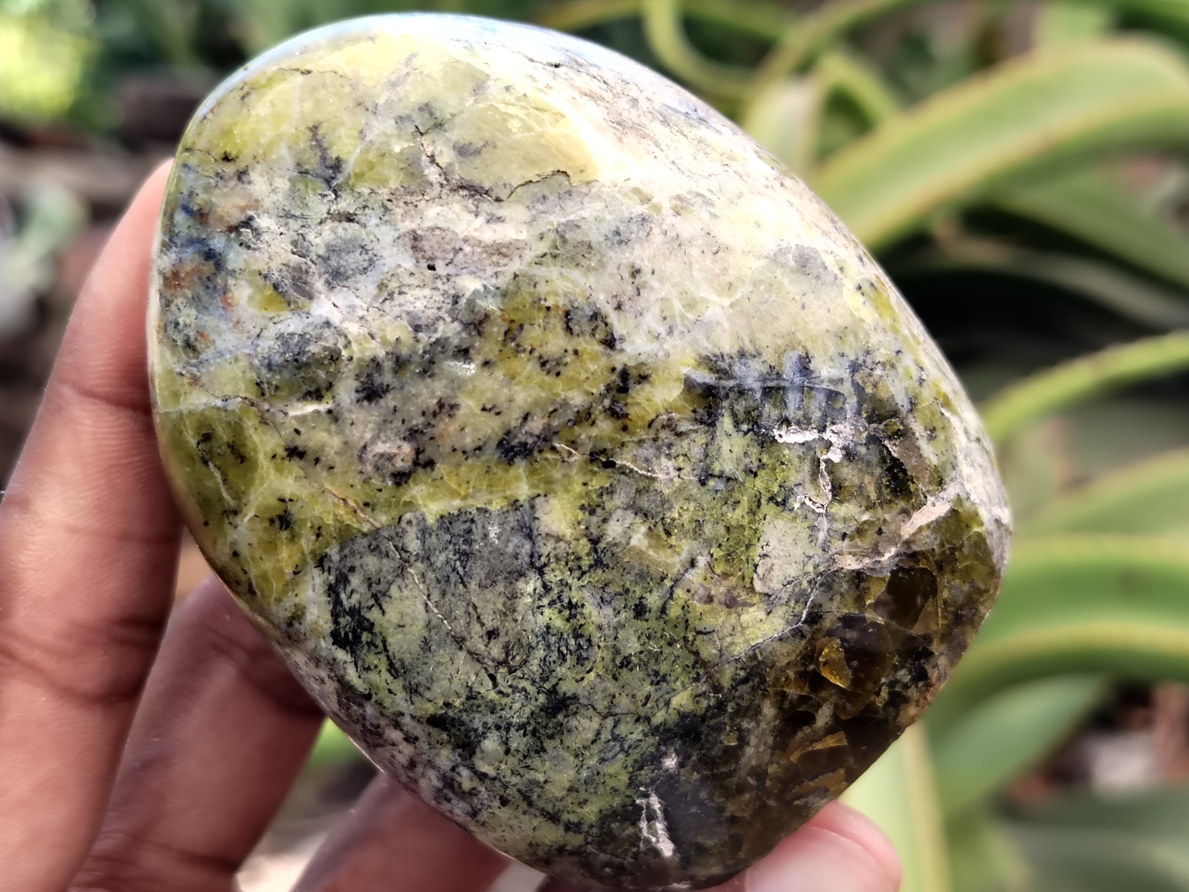 Polished Green Opal Standing Free Forms x 6 From Antsirabe, Madagascar - Toprock Gemstones and Minerals 