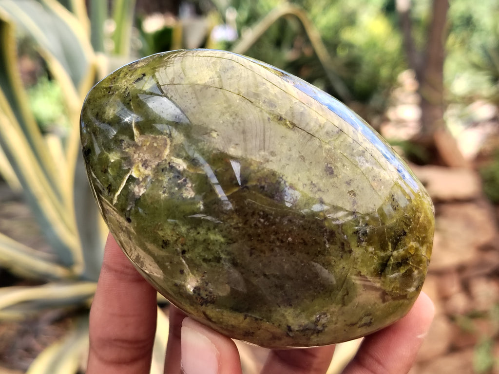 Polished Green Opal Standing Free Forms x 6 From Antsirabe, Madagascar - Toprock Gemstones and Minerals 