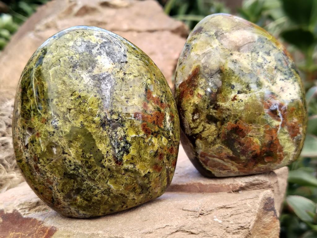 Polished Green Opal Standing Free Forms x 6 From Antsirabe, Madagascar - Toprock Gemstones and Minerals 