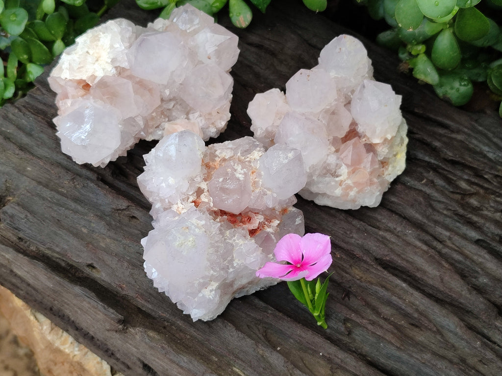 Natural Amethyst Spirit Quartz Clusters x 3 From Boekenhouthoek, South Africa - Toprock Gemstones and Minerals 