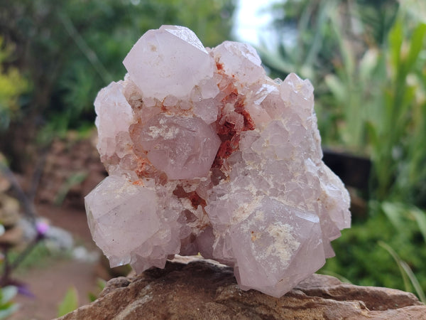 Natural Amethyst Spirit Quartz Clusters x 3 From Boekenhouthoek, South Africa