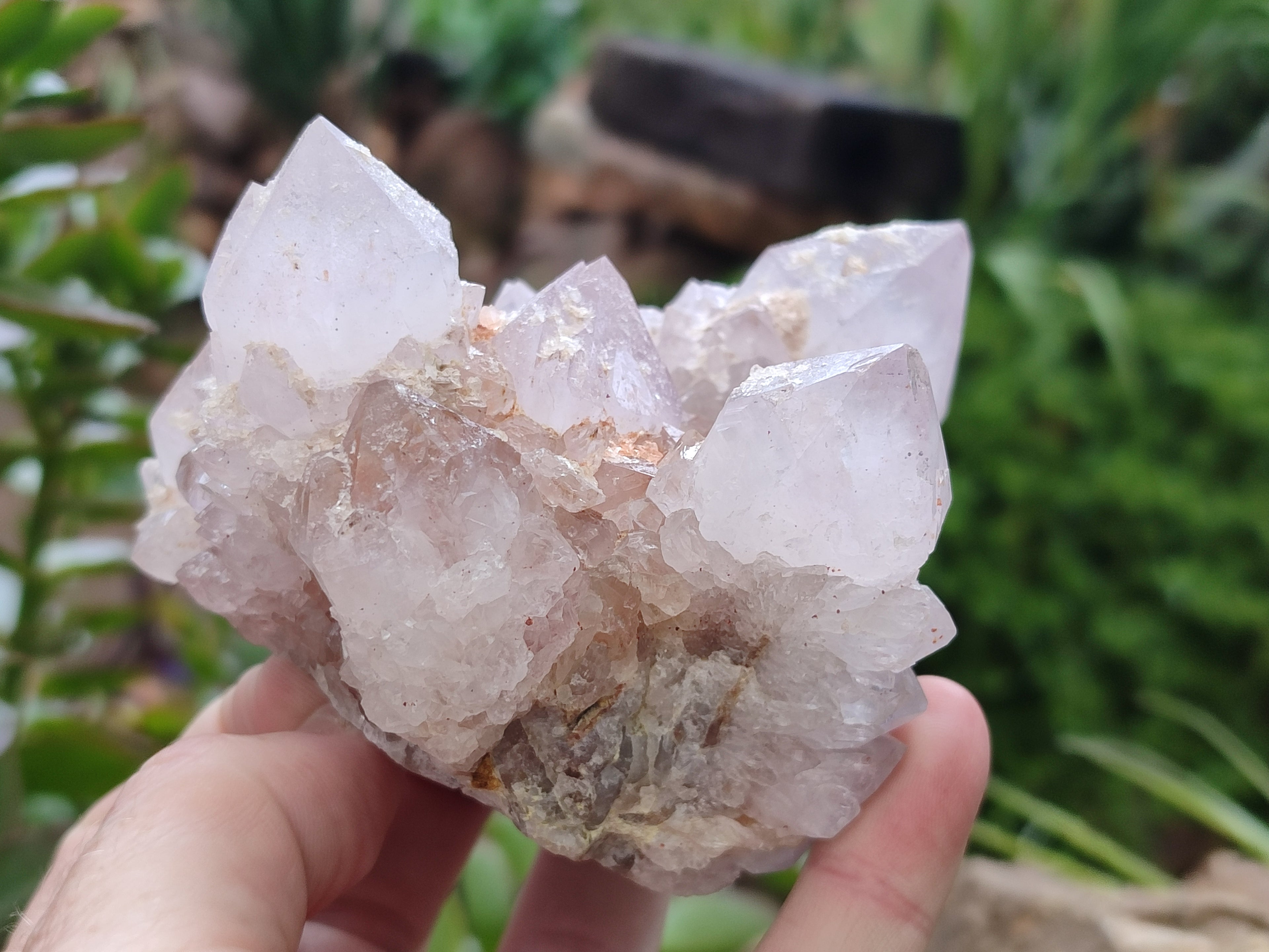 Natural Amethyst Spirit Quartz Clusters x 3 From Boekenhouthoek, South Africa - Toprock Gemstones and Minerals 