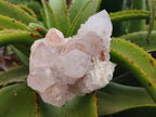 Natural Amethyst Spirit Quartz Clusters x 3 From Boekenhouthoek, South Africa - Toprock Gemstones and Minerals 