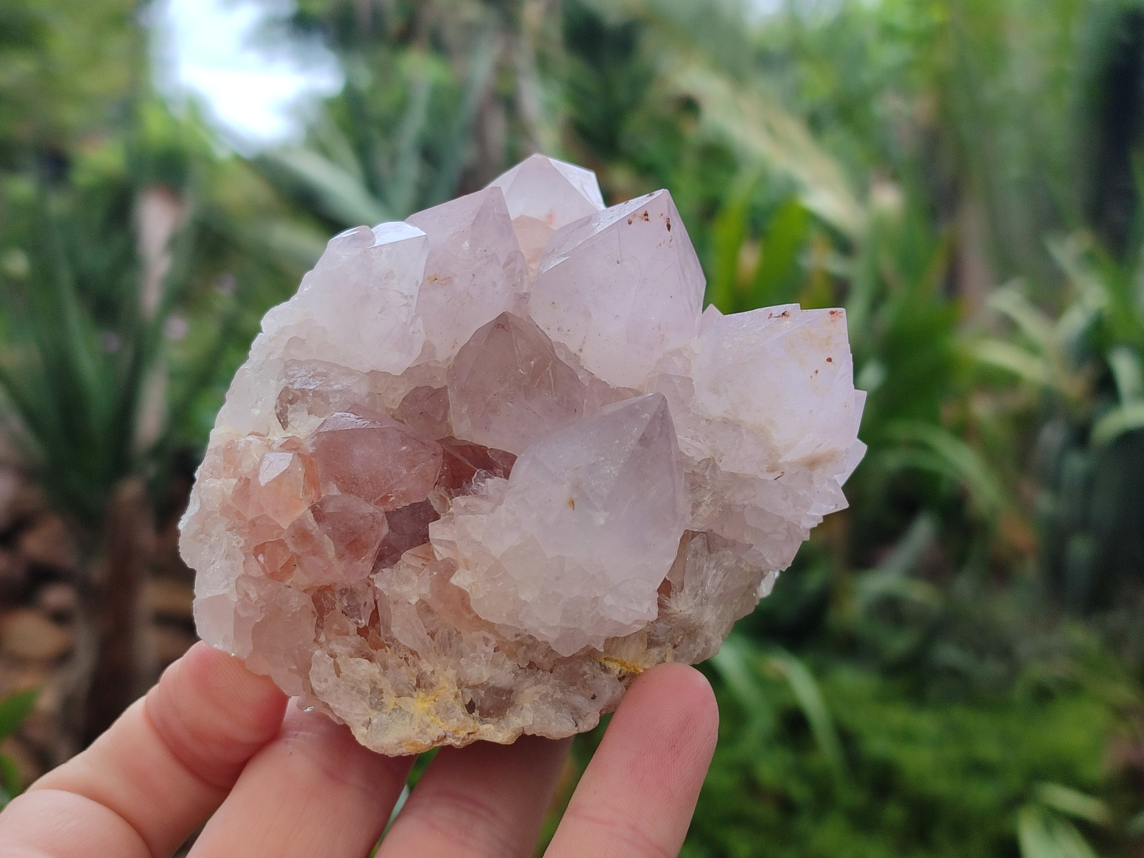 Natural Amethyst Spirit Quartz Clusters x 3 From Boekenhouthoek, South Africa - Toprock Gemstones and Minerals 