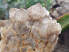 Natural Smokey Phantom Quartz Clusters x 2 From Luena, Congo - Toprock Gemstones and Minerals 